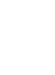 American IT Systems